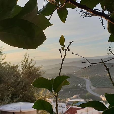 Mirador Del Olivar Ольвера Экстерьер фото